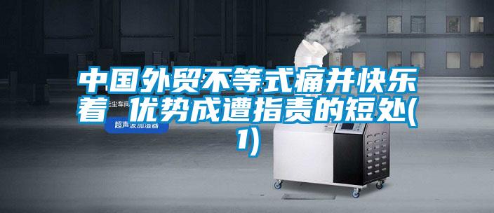 中國外貿(mào)不等式痛并快樂著 優(yōu)勢成遭指責(zé)的短處(1)