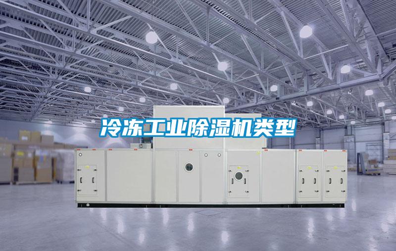 冷凍工業除濕機類型