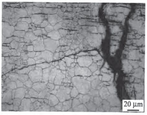 帶有防霧除濕功能的口內掃描儀的3D牙齒打印系統的制作方法