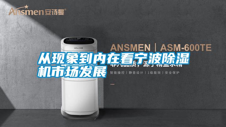 從現(xiàn)象到內(nèi)在看寧波除濕機(jī)市場(chǎng)發(fā)展