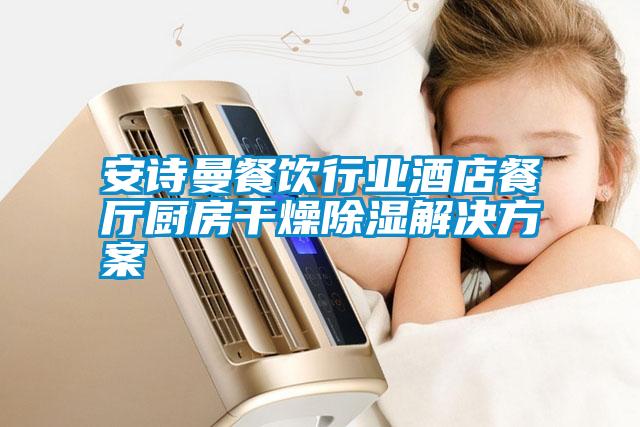 安詩曼餐飲行業酒店餐廳廚房干燥除濕解決方案
