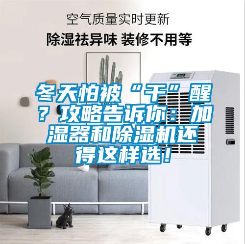 冬天怕被“干”醒?攻略告訴你:加濕器和除濕機還得這樣選!