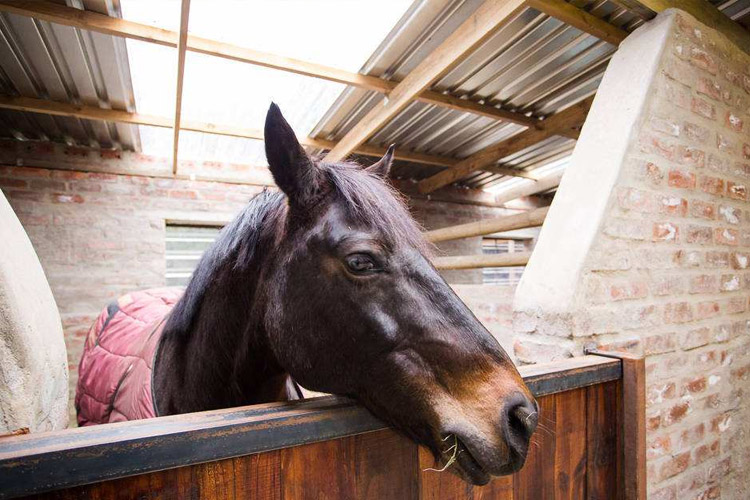 【化工業高性能全國保修制冷加熱一體機】價格,廠家,恒溫試驗設備