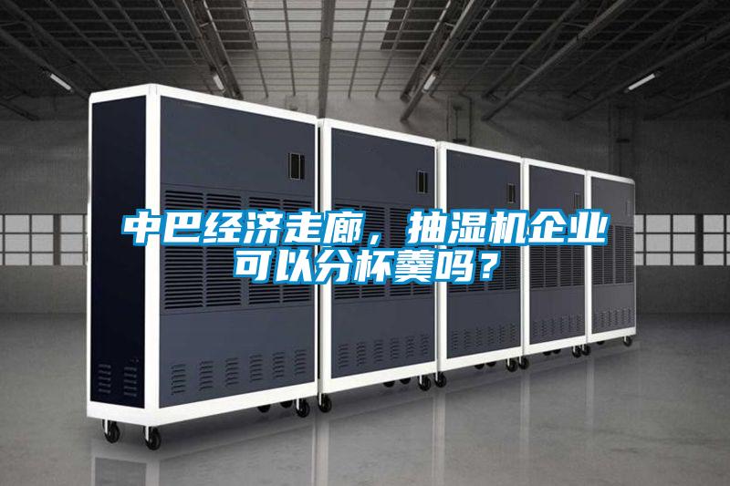 中巴經濟走廊，抽濕機企業可以分杯羹嗎？