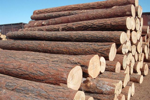 木材干燥為什么要用工業除濕機 木材干燥為什么要用工業除濕機