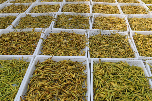 中山熱賣恒溫恒濕試驗(yàn)箱（PLC控制）