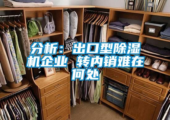 分析:出口型除濕機企業(yè) 轉(zhuǎn)內(nèi)銷難在何處