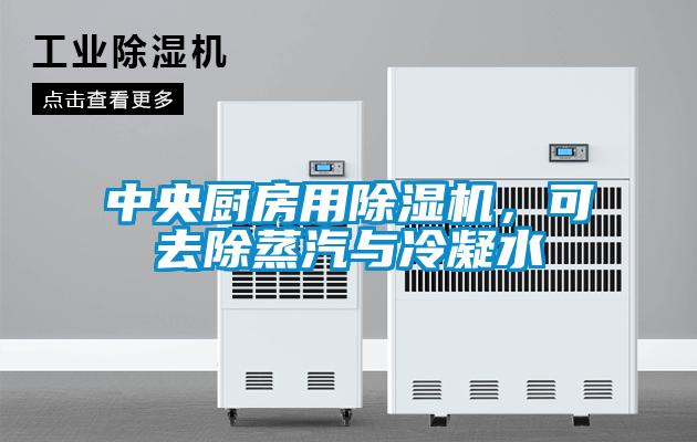 中央廚房用除濕機,可去除蒸汽與冷凝水