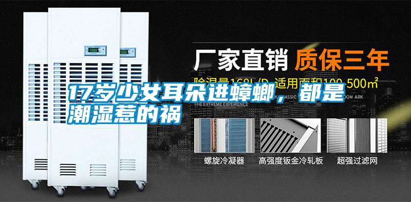 17歲少女耳朵進(jìn)蟑螂,都是潮濕惹的禍