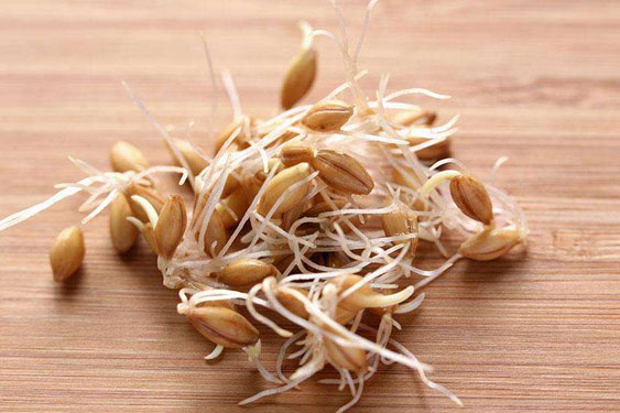 除濕機與鐵觀音制作