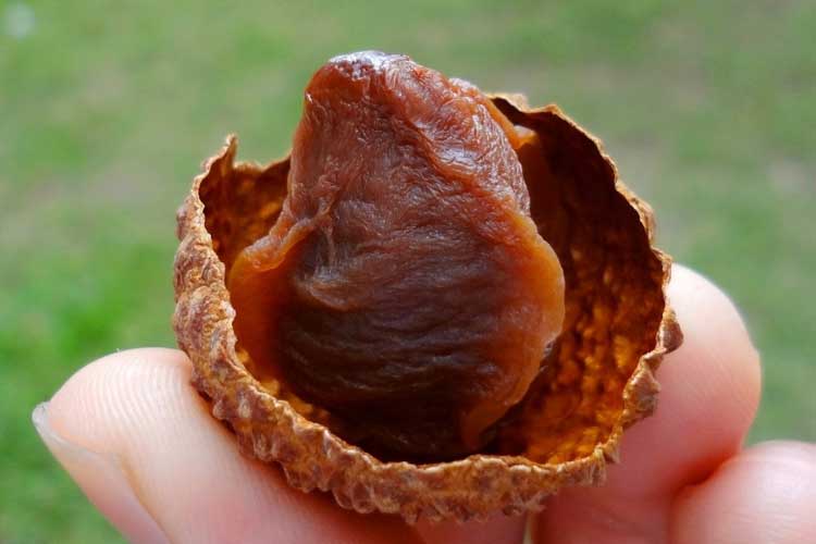 對三機一體除濕干燥機的水量如何控制? 對三機一體除濕干燥機的水量如何控制?