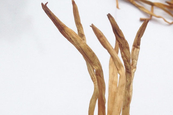 世界除濕機什么牌子好，解讀除濕機市場趨勢