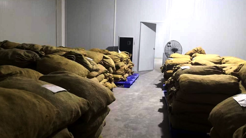 倉庫除濕機在陳皮儲存過程中的應(yīng)用 倉庫除濕機在陳皮儲存過程中的應(yīng)用