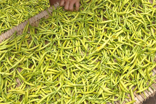 轉輪除濕機，低溫型轉輪除濕機，低露點轉輪除濕機，鋰 ...