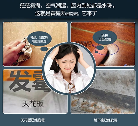 烘干除濕機，農產品烘干除濕設備