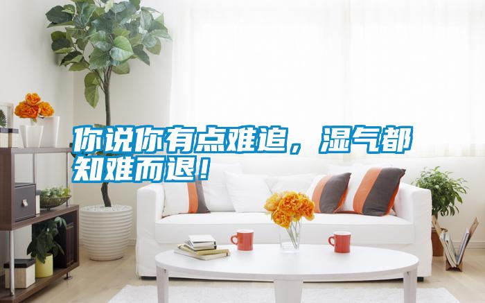 你說你有點難追,濕氣都知難而退!