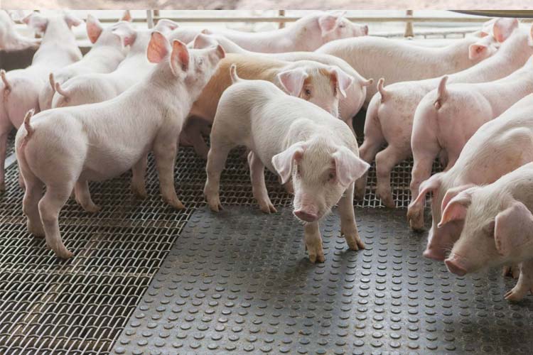 發電廠的濕度控制