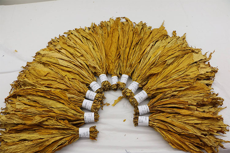 防潮選除濕袋還是除濕機？