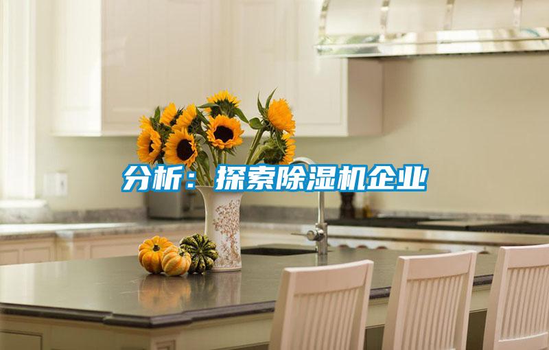 分析:探索除濕機企業