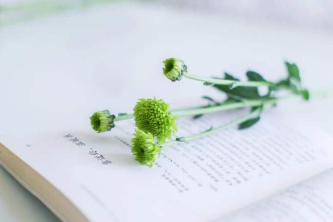 梅雨天不要讓身體和心情發霉 梅雨天不要讓身體和心情發霉