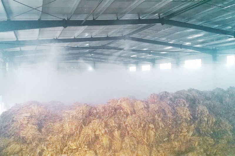 提升煙葉加工質量,高效回潮很重要 提升煙葉加工質量,高效回潮很重要