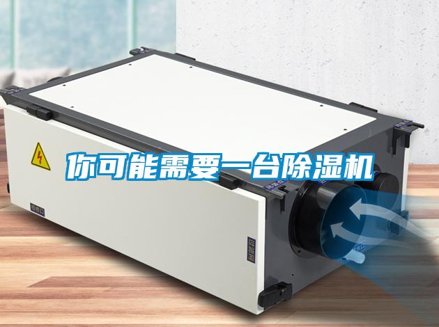 你可能需要一臺(tái)除濕機(jī)