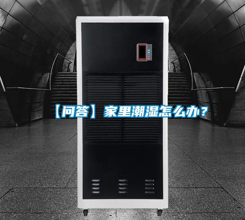 【問答】家里潮濕怎么辦？