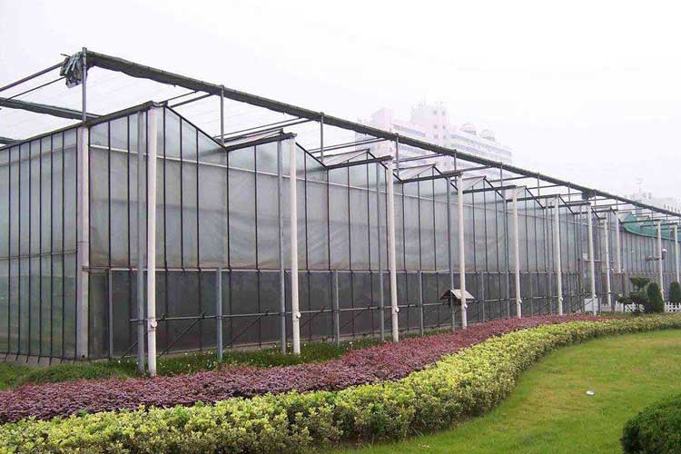 可以從工業加濕器中受益的戶外空間 可以從工業加濕器中受益的戶外空間