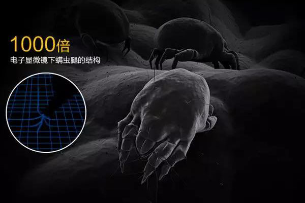 新茶該如何保存