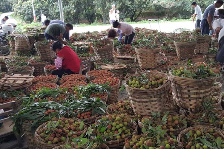 潮濕天氣 養生不宜大補