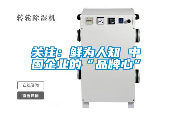關(guān)注:鮮為人知 中國(guó)企業(yè)的“品牌心”