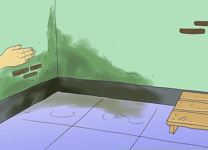 為什么南方會很潮濕？