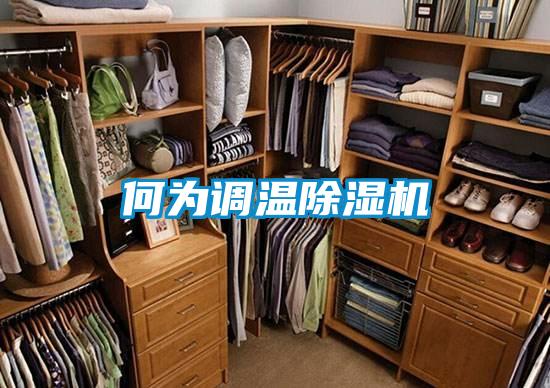 何為調溫除濕機