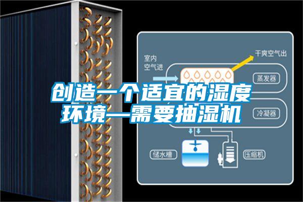 創(chuàng)造一個適宜的濕度環(huán)境—需要抽濕機