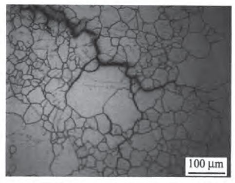回南天潮濕 家用除濕機哪個牌子好