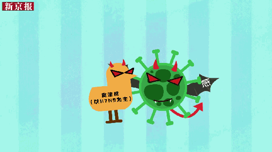 柿餅怎么做？柿餅烘干除濕機