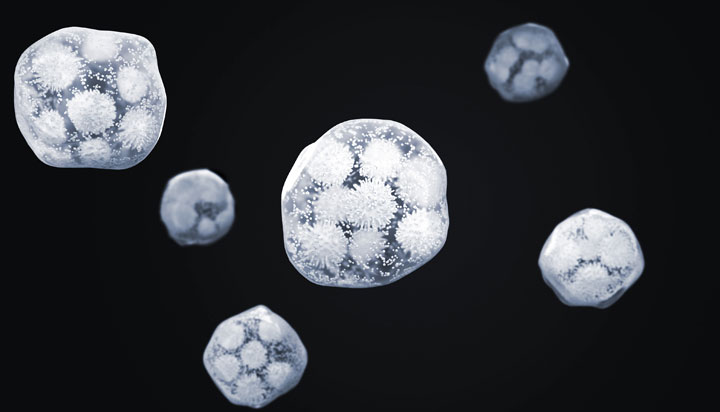 一種便攜一體式快速還原物理除濕盒、除濕器的制作方法 一種便攜一體式快速還原物理除濕盒、除濕器的制作方法