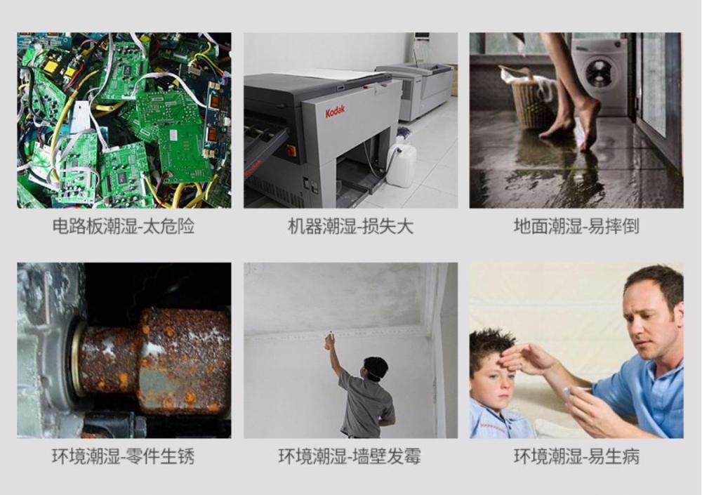 鐵皮石斛專用孚瑞德除濕機F30S