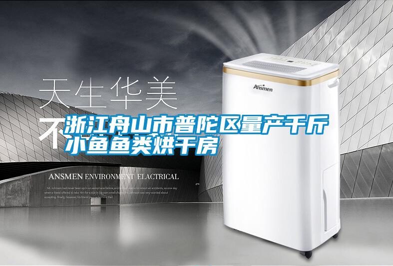 浙江舟山市普陀區(qū)量產(chǎn)千斤小魚魚類烘干房