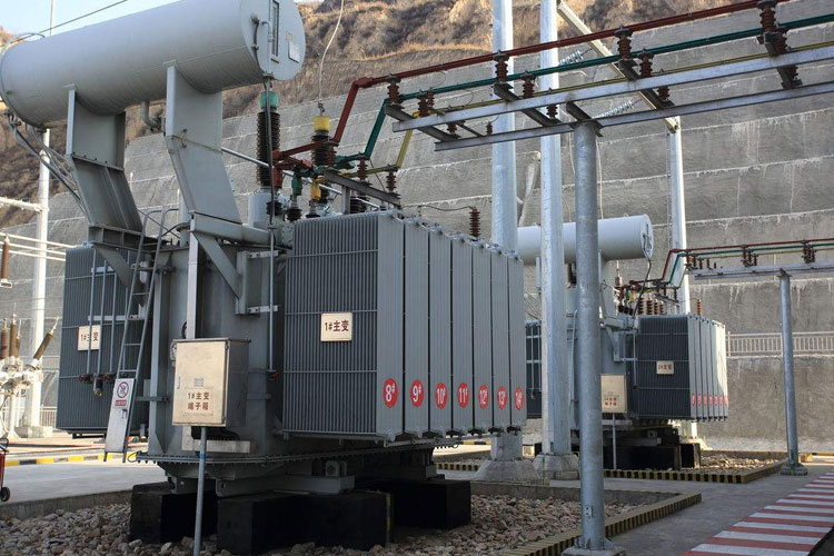 工廠需要除濕機之玫瑰花烘干機與烘干房的配型! 工廠需要除濕機之玫瑰花烘干機與烘干房的配型!