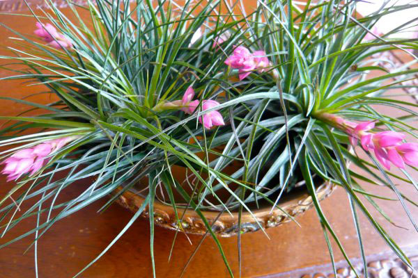 四川地下室除濕機(jī)工程施工 制衣廠除濕機(jī)設(shè)計(jì) 服務(wù)及時(shí)