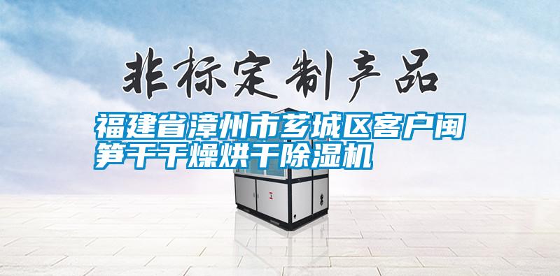 福建省漳州市薌城區客戶閩筍干干燥烘干除濕機