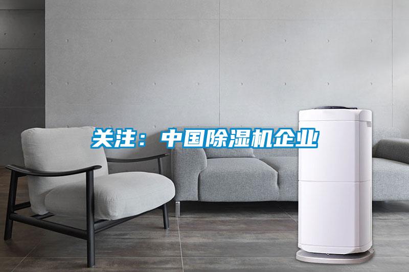 關注:中國除濕機企業