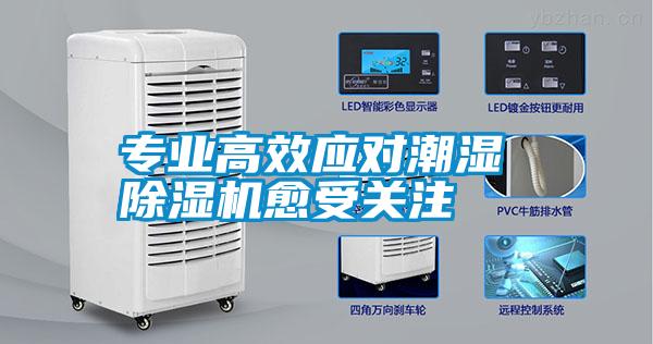 專業高效應對潮濕 除濕機愈受關注