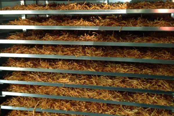 微電腦控制型除濕機的使用方法及除濕機的保養方法 [2011-3-17]