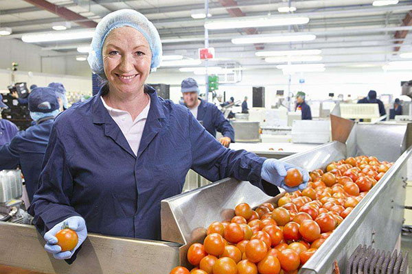 中山傳感器恒溫恒濕柜供應(報名吧,2023已更新) 中山傳感器恒溫恒濕柜供應(報名吧,2023已更新)