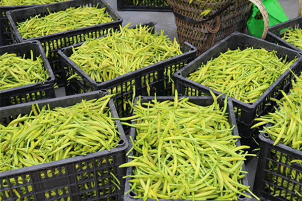 大同工業除濕機哪家好今日價格一覽表(2023更新) 大同工業除濕機哪家好今日價格一覽表(2023更新)