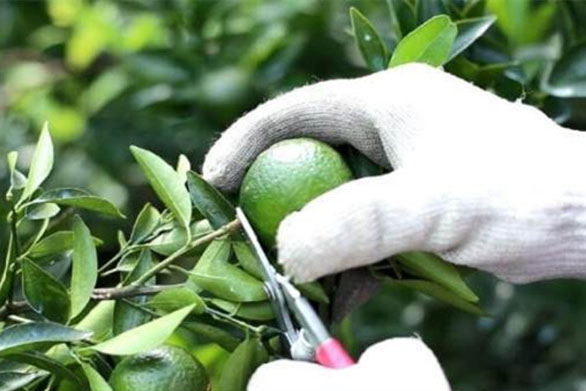 家用除濕機如何正確使用 家用除濕機的注意事項介紹【詳解】