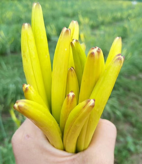 湖州單向流新風(fēng)系統(tǒng)安裝公司(【行情】2023已更新) 湖州單向流新風(fēng)系統(tǒng)安裝公司(【行情】2023已更新)