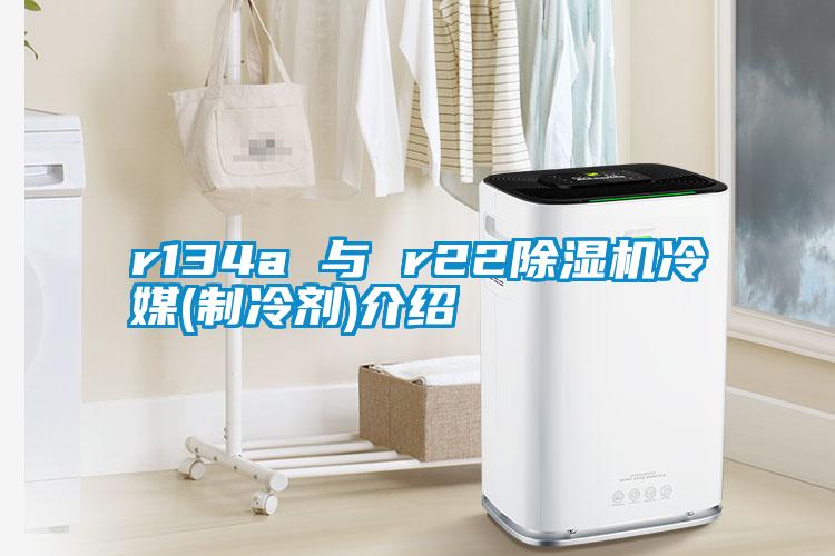 r134a 與 r22除濕機冷媒(制冷劑)介紹